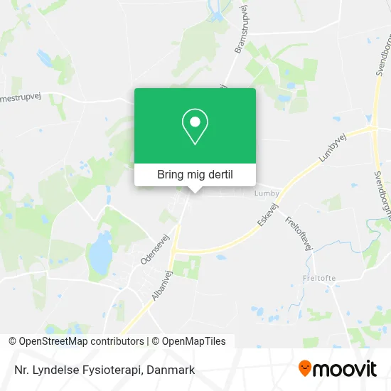 Nr. Lyndelse Fysioterapi kort