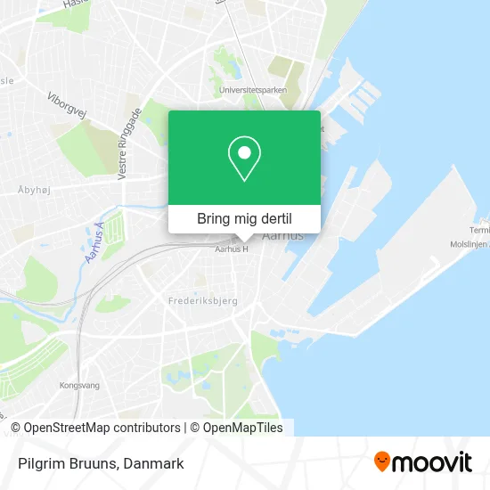 Pilgrim Bruuns kort