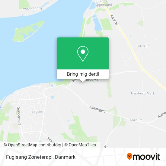 Fuglsang Zoneterapi kort
