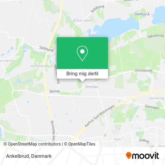 Ankelbrud kort