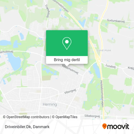 Driveinbiler.Dk kort