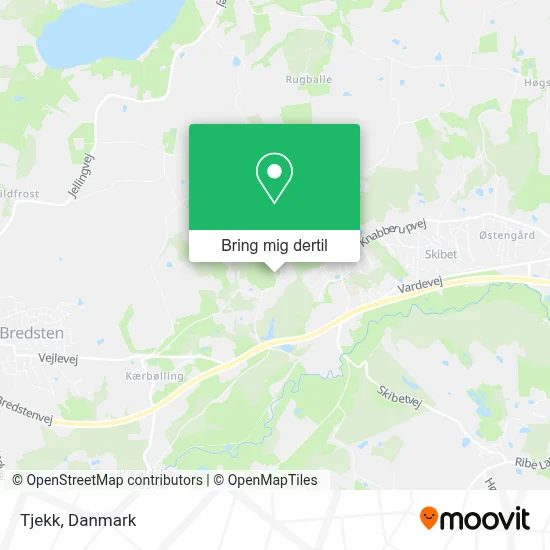 Tjekk kort