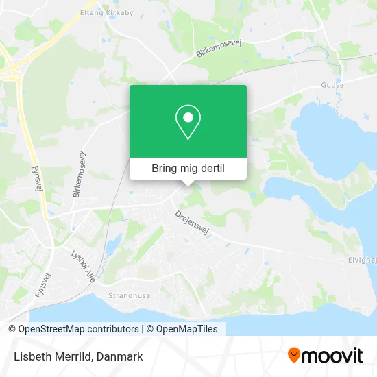 Lisbeth Merrild kort