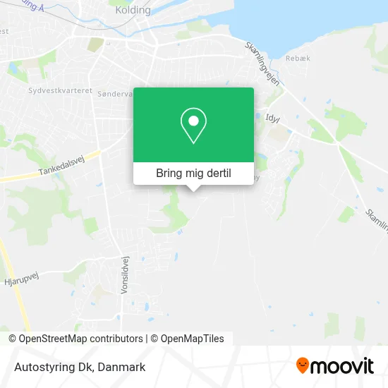 Autostyring Dk kort