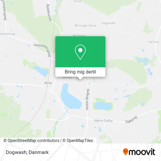 Dogwash kort