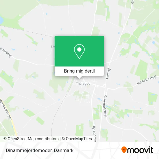Dinammejordemoder kort