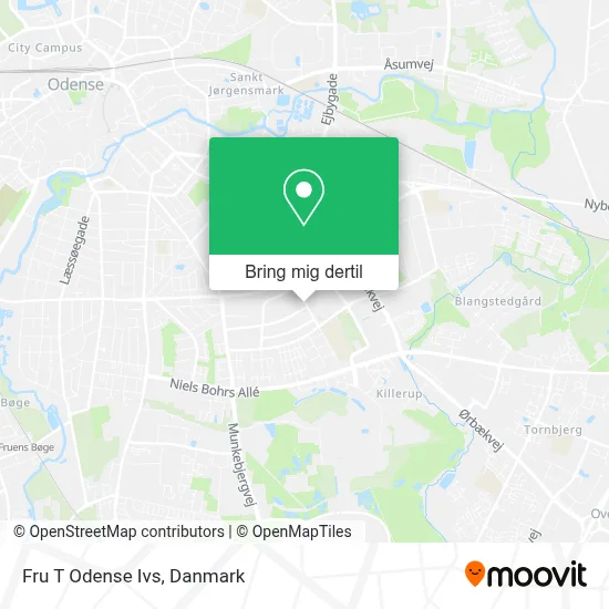 Fru T Odense Ivs kort