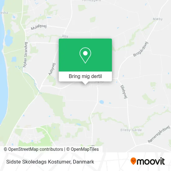 Sidste Skoledags Kostumer kort