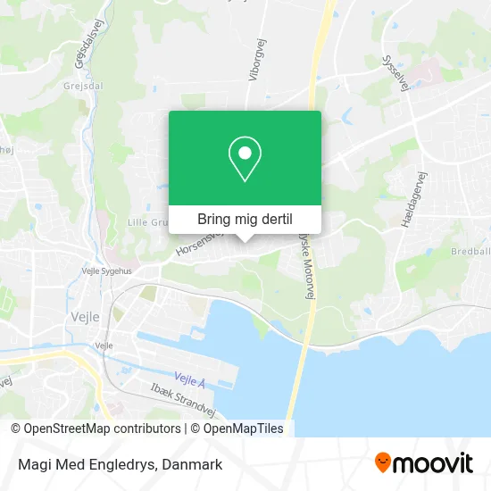 Magi Med Engledrys kort