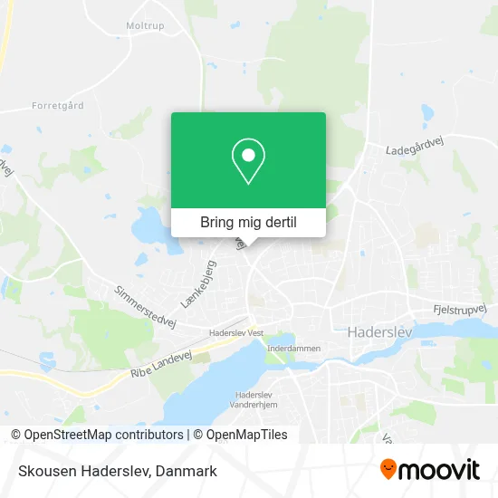 Skousen Haderslev kort