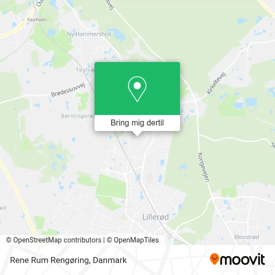 Rene Rum Rengøring kort