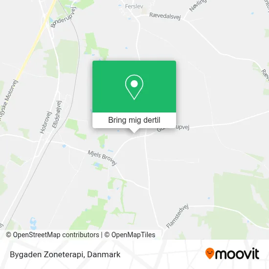 Bygaden Zoneterapi kort