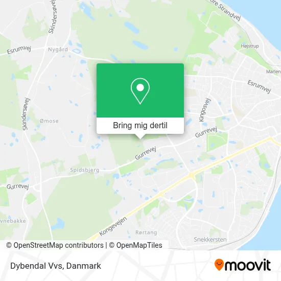 Dybendal Vvs kort