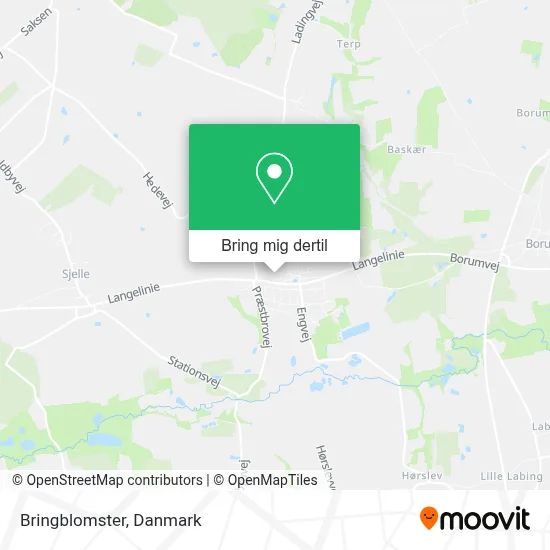 Bringblomster kort