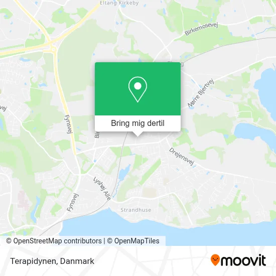 Terapidynen kort
