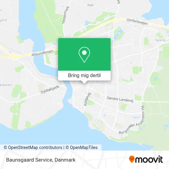 Baunsgaard Service kort
