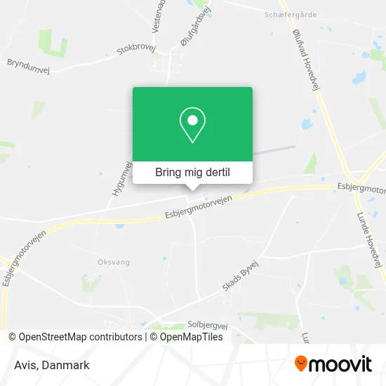 Avis kort
