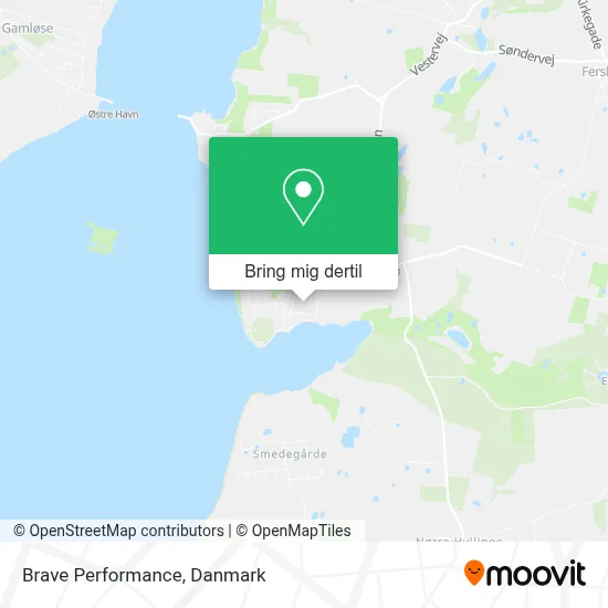 Brave Performance kort