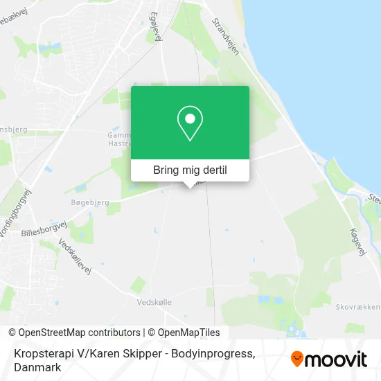 Kropsterapi V / Karen Skipper - Bodyinprogress kort