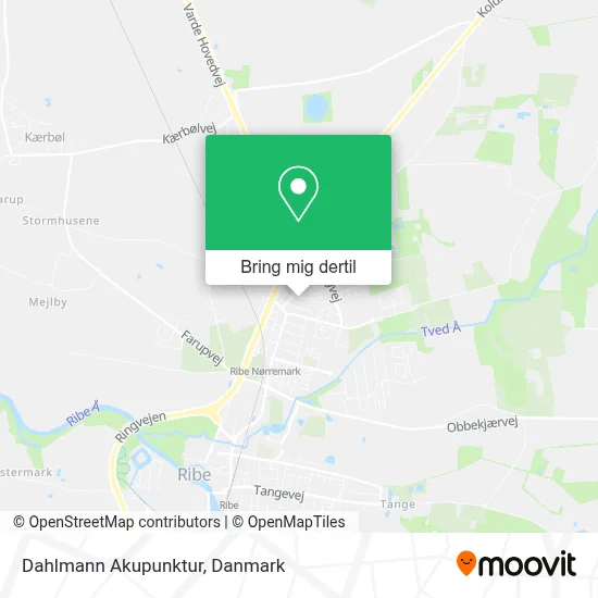 Dahlmann Akupunktur kort