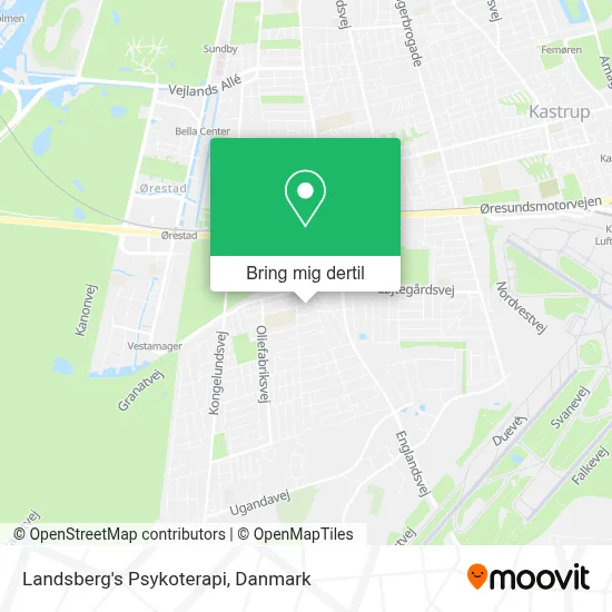 Landsberg's Psykoterapi kort
