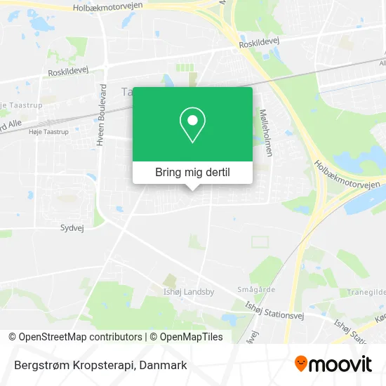 Bergstrøm Kropsterapi kort