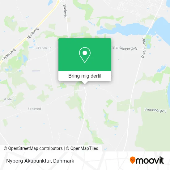 Nyborg Akupunktur kort