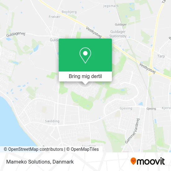 Mameko Solutions kort
