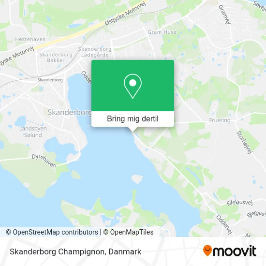 Skanderborg Champignon kort