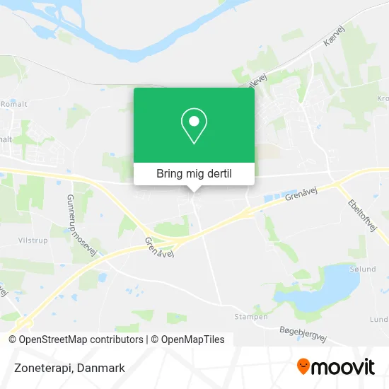 Zoneterapi kort