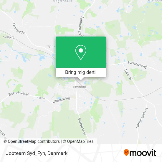Jobteam Syd_Fyn kort