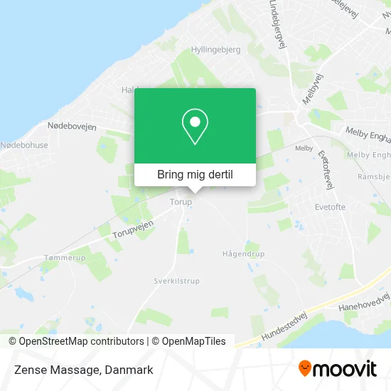 Zense Massage kort