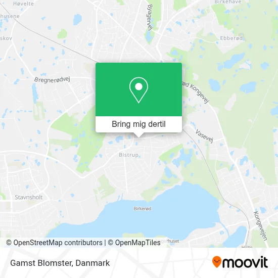 Gamst Blomster kort