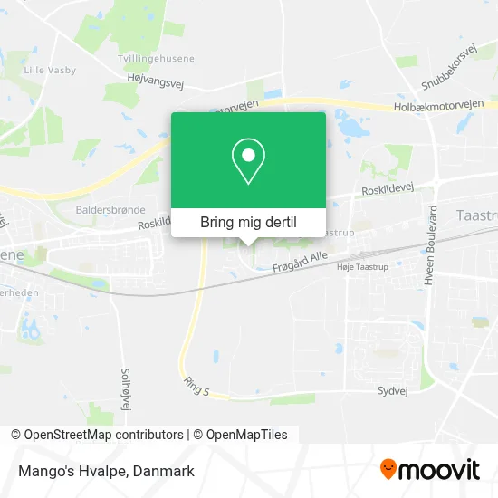 Mango's Hvalpe kort