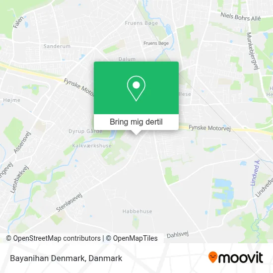 Bayanihan Denmark kort