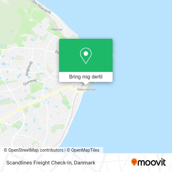 Scandlines Freight Check-In kort