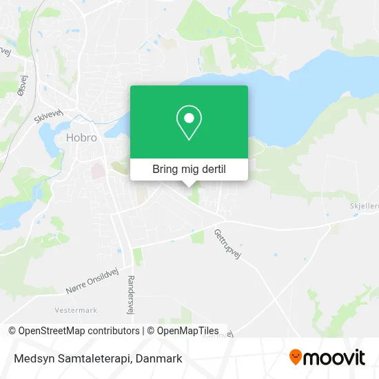 Medsyn Samtaleterapi kort