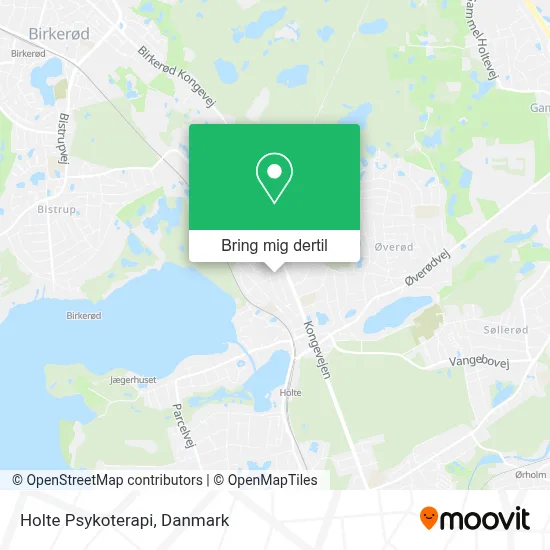 Holte Psykoterapi kort