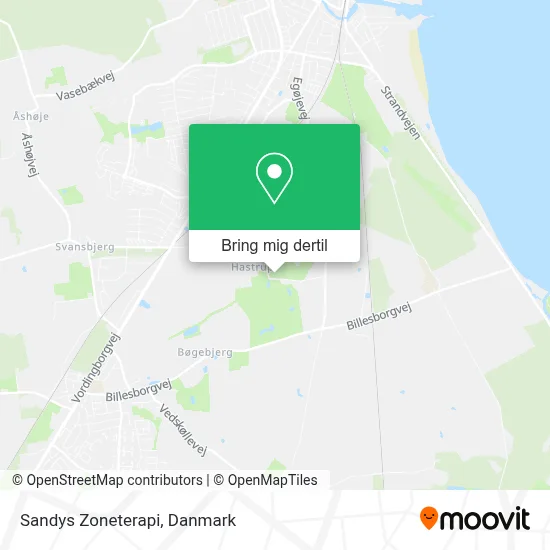 Sandys Zoneterapi kort