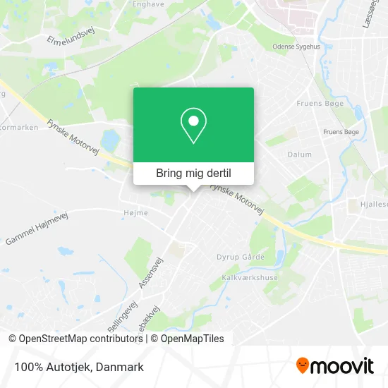 100% Autotjek kort