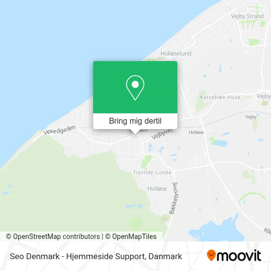 Seo Denmark - Hjemmeside Support kort