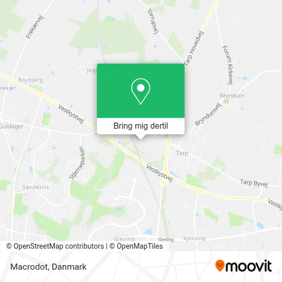 Macrodot kort
