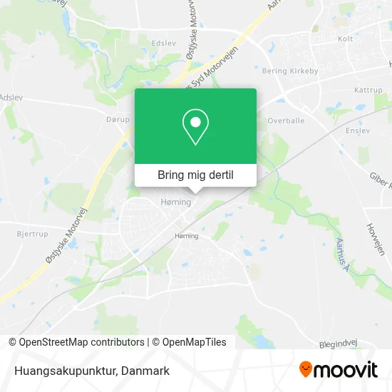 Huangsakupunktur kort