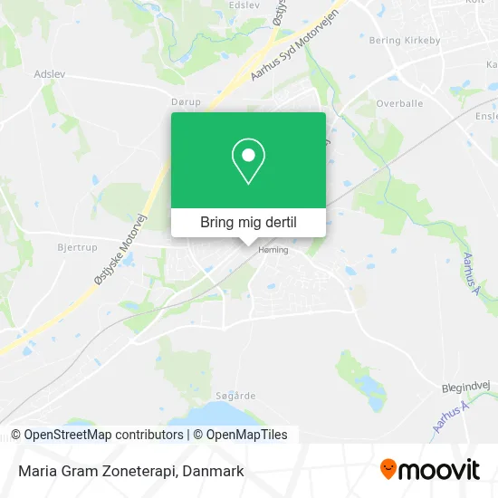 Maria Gram Zoneterapi kort
