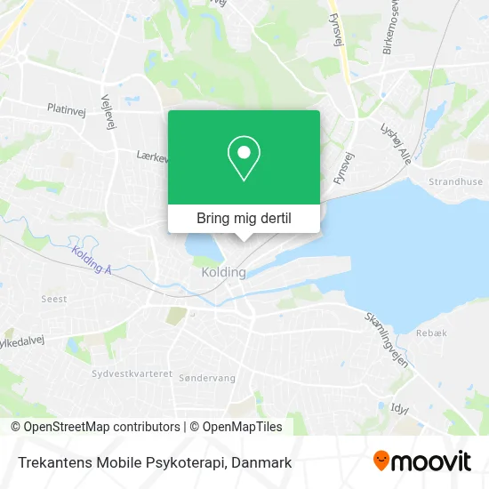 Trekantens Mobile Psykoterapi kort