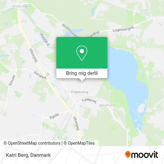 Katri Berg kort