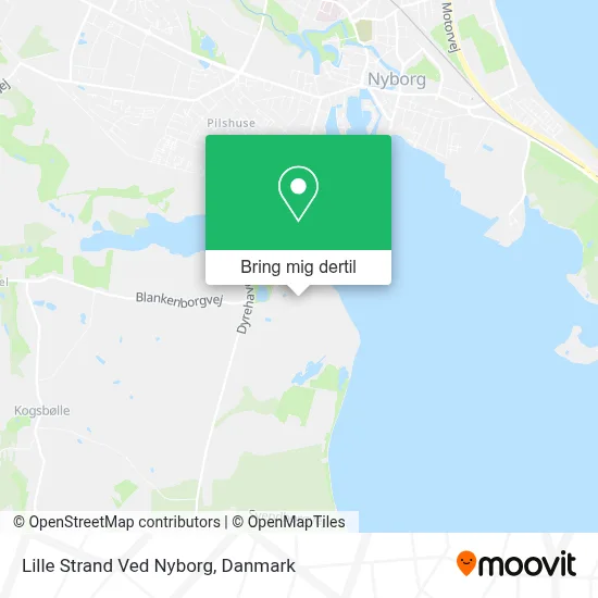 Lille Strand Ved Nyborg kort
