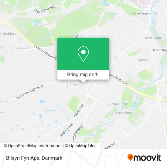 Bilsyn Fyn Aps kort