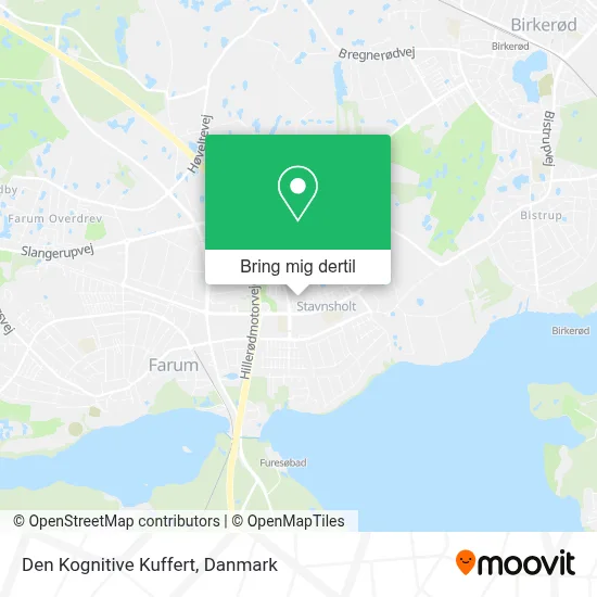 Den Kognitive Kuffert kort