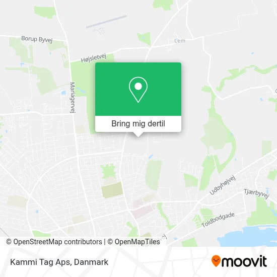 Kammi Tag Aps kort